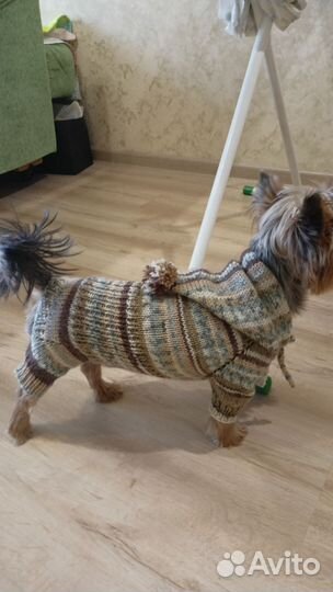Одежда для собак мелких пород
