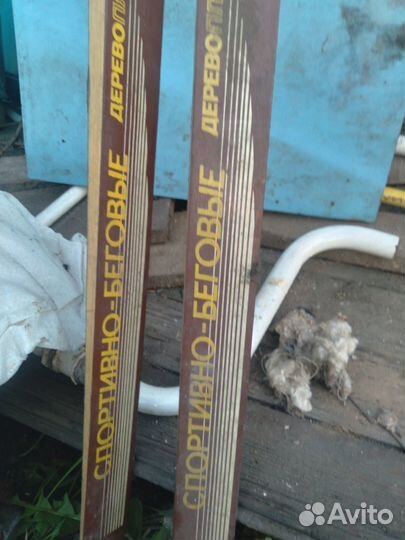 Лыжи. Нововятск