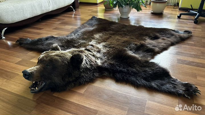 Шкура медведя имитация