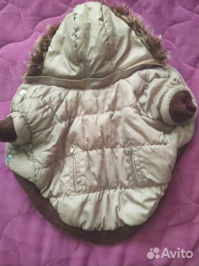 Курточка для собаки, со съемным капюшоном