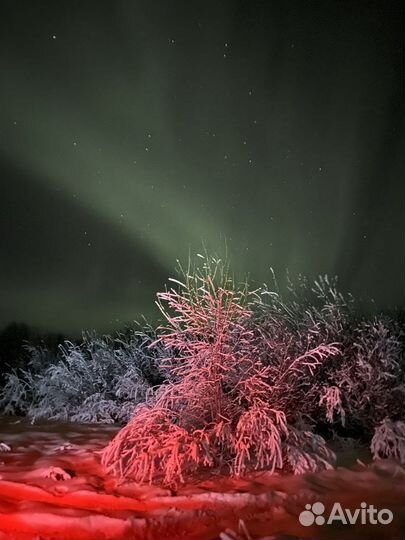 Охота за северным сиянием