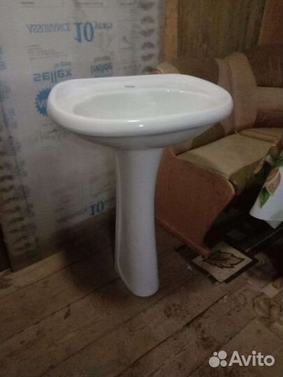 Раковина тюльпан