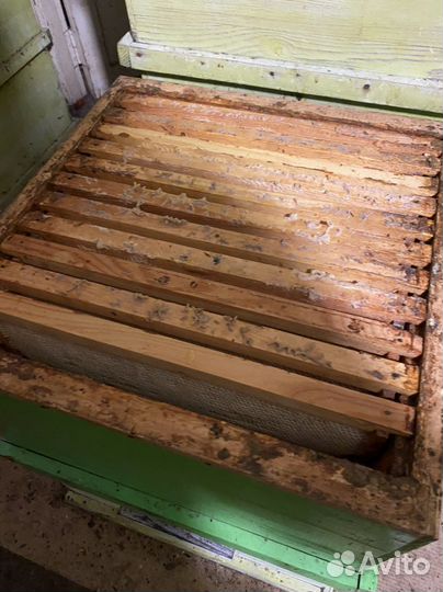 Сушь Рамки с сушью