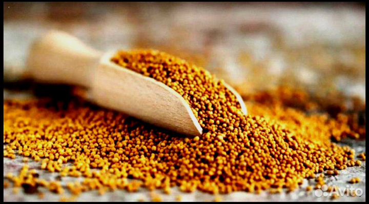 Горчица Желтая, семена от производителя