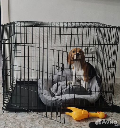 Клетка для собак и кошек усиленная + поддон