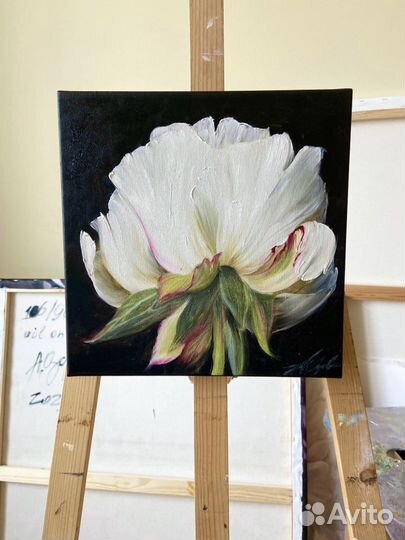 Картина Пион-символ любви