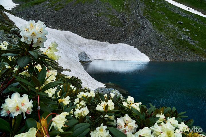 Туры в горы с Фотосессией