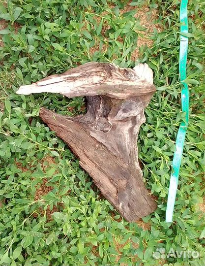 Коряги для декора