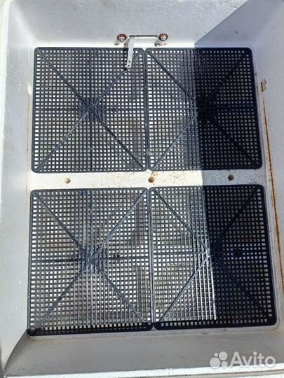 Инкубатор для яиц автоматический бу