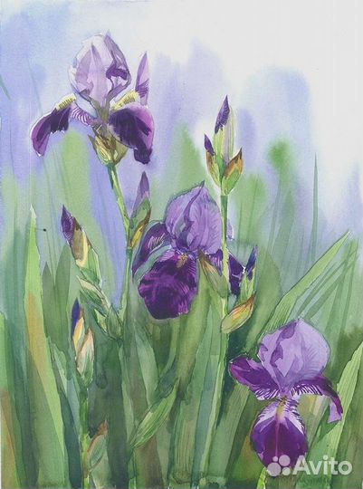 Картина акварелью 
