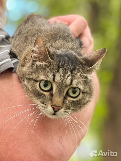 Спасите жизнь Маше