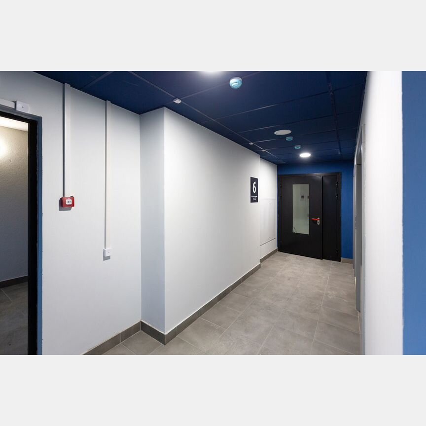 3-к. квартира, 71,8 м², 12/17 эт.