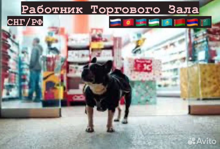 Работник Торгового Зала (подработка )