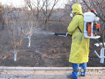Химикаты для опрыскивания деревьев