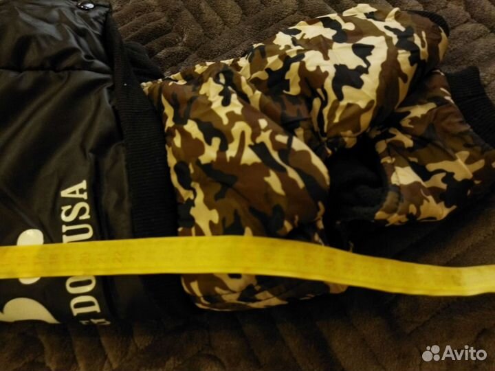 Одежда для маленьких собак зима