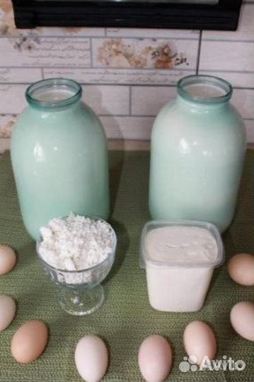 Молочные продукты, Яйцо домашнее