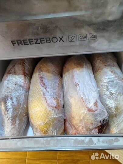 Утки муларды, тушки