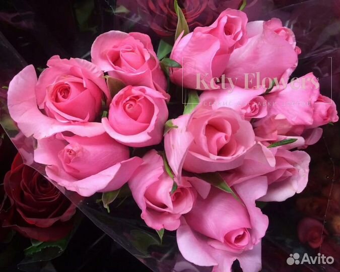 Розы Цветы Букеты 25 151 201 101 301 501 опт