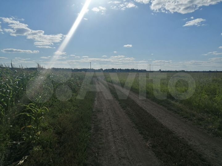 Участок 10 сот. (СНТ, ДНП)