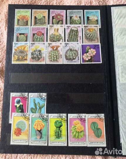 Почтовые марки. Флора