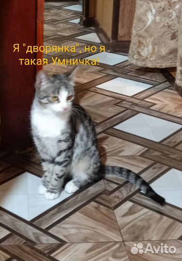 В самые добрые ручки