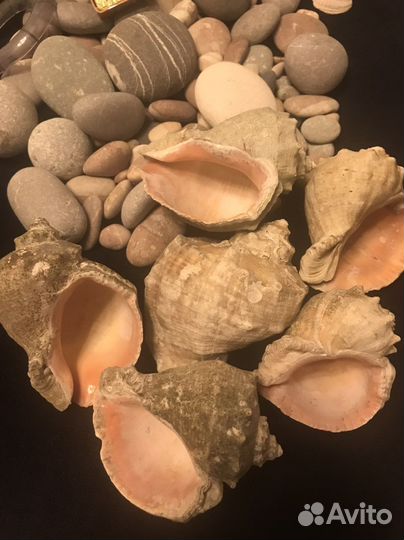 Аксессуары для аквариума