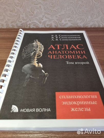 Атлас Анатомии Человека