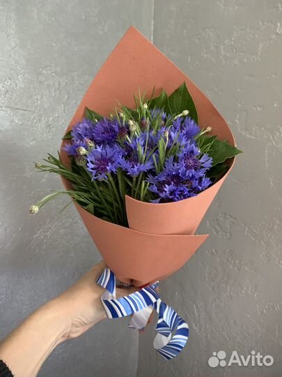 Васильки букет