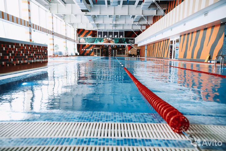 Ленин фитнес (бывшая зебра)