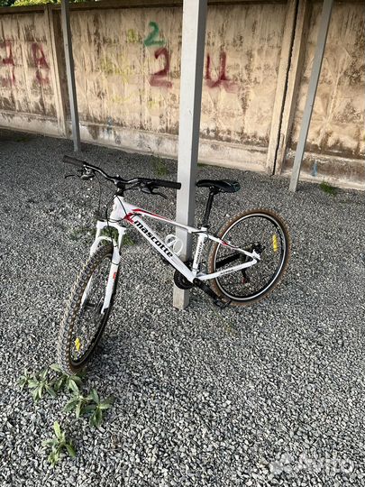 Ведоспиед mascotte