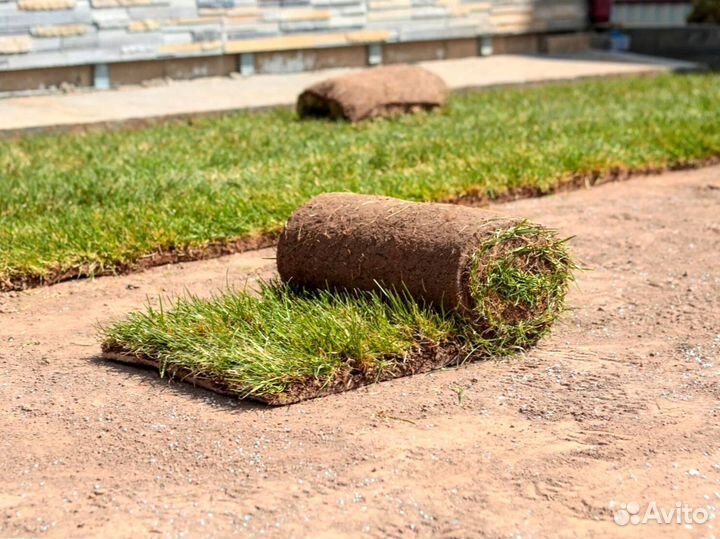 Газон рулонный гарантия от производителя