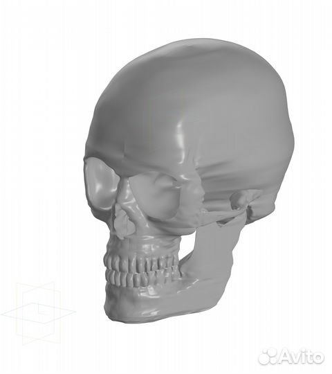 3Д модель черепа в компас 3Д