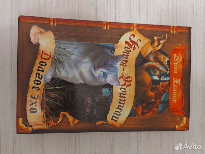 Коты воители