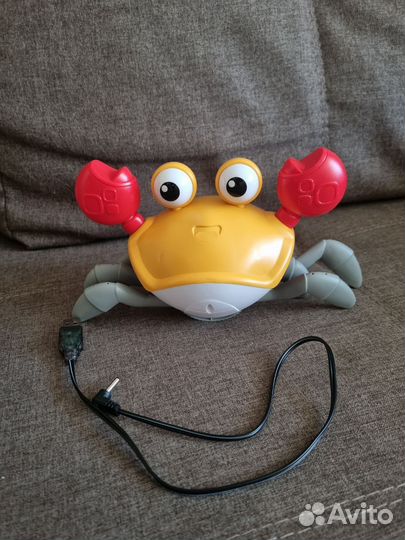 Бегающий краб