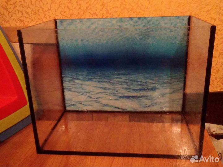 Террариум или аквариум