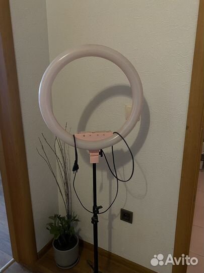 Кольцевая лампа