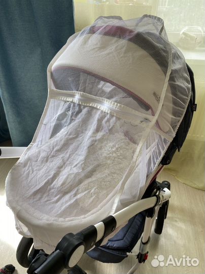 Коляска 2 в 1 adamex