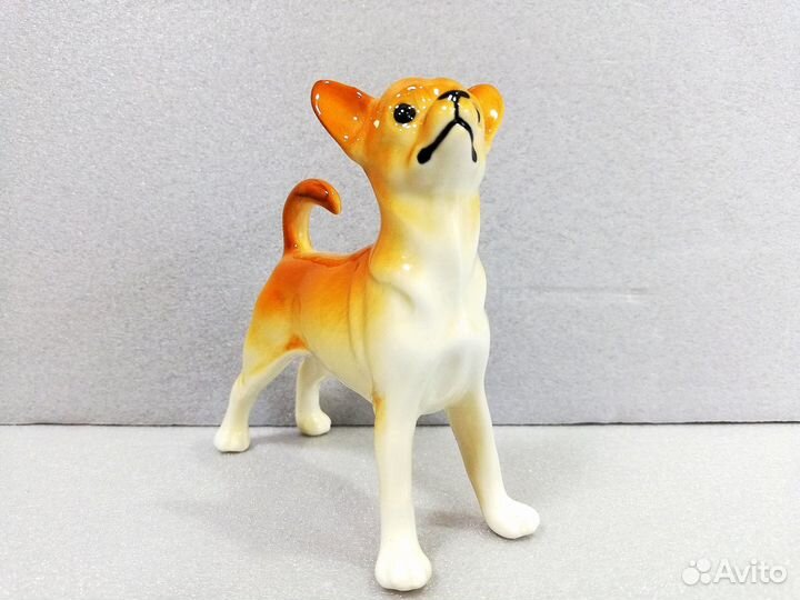 Фигурка собака чихуа хуа