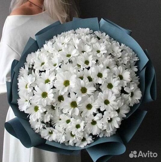 Хризантема