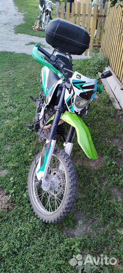 Рейсер пантера