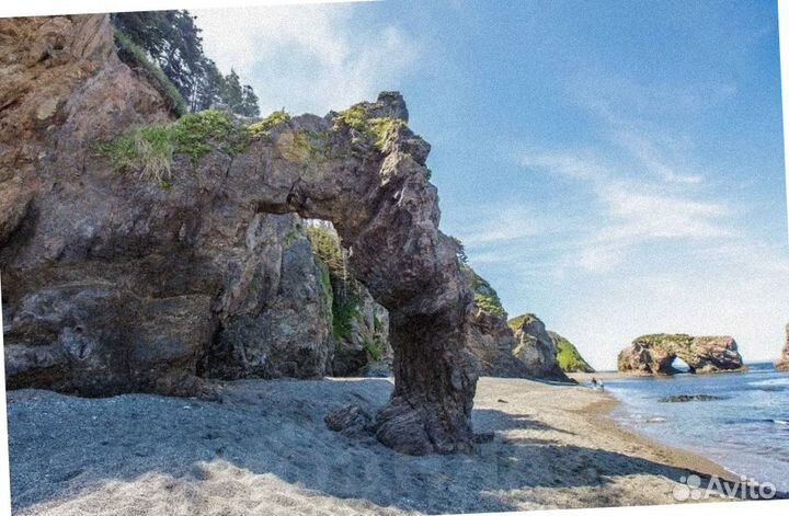 Летом на Сахалин путевка экспедиции до 6-ти дн