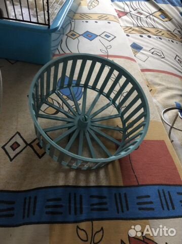 Колесо для грызунов