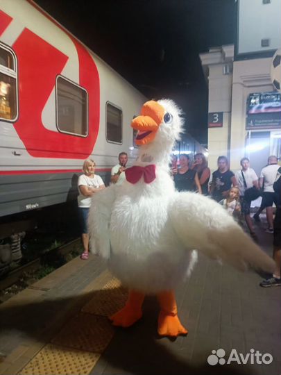 Аниматор.Поздравление гусь обнимусь ростовая кукла