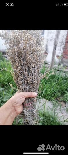 Веники для бани и травы опт полынь донник
