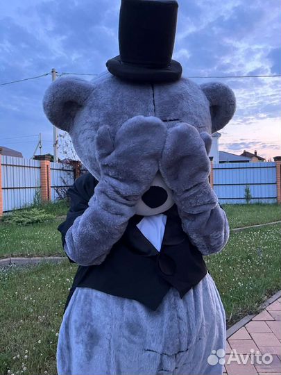 Поздравление от мишки Фили