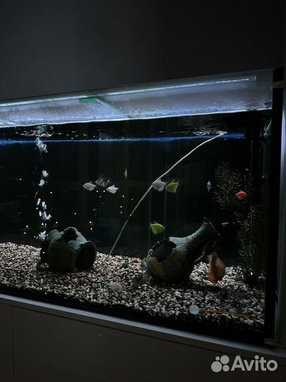 Аквариум с тумбой
