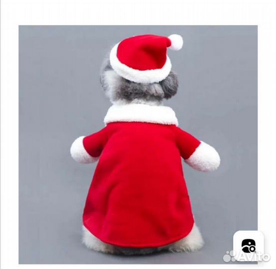 Одежда для животных