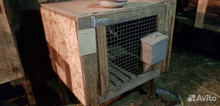 Клетка для кроликов