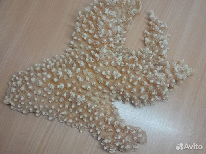 Декорации для аквариума