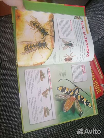 Детские энциклопедии